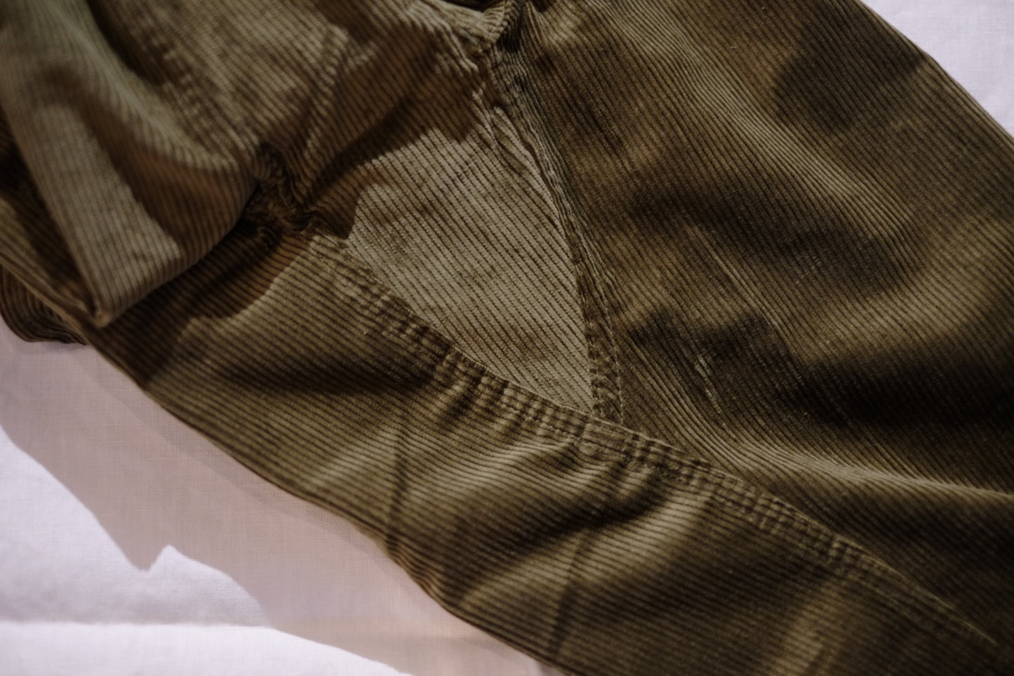 SASSAFRAS / ササフラス "Wheel Barrow Pants"