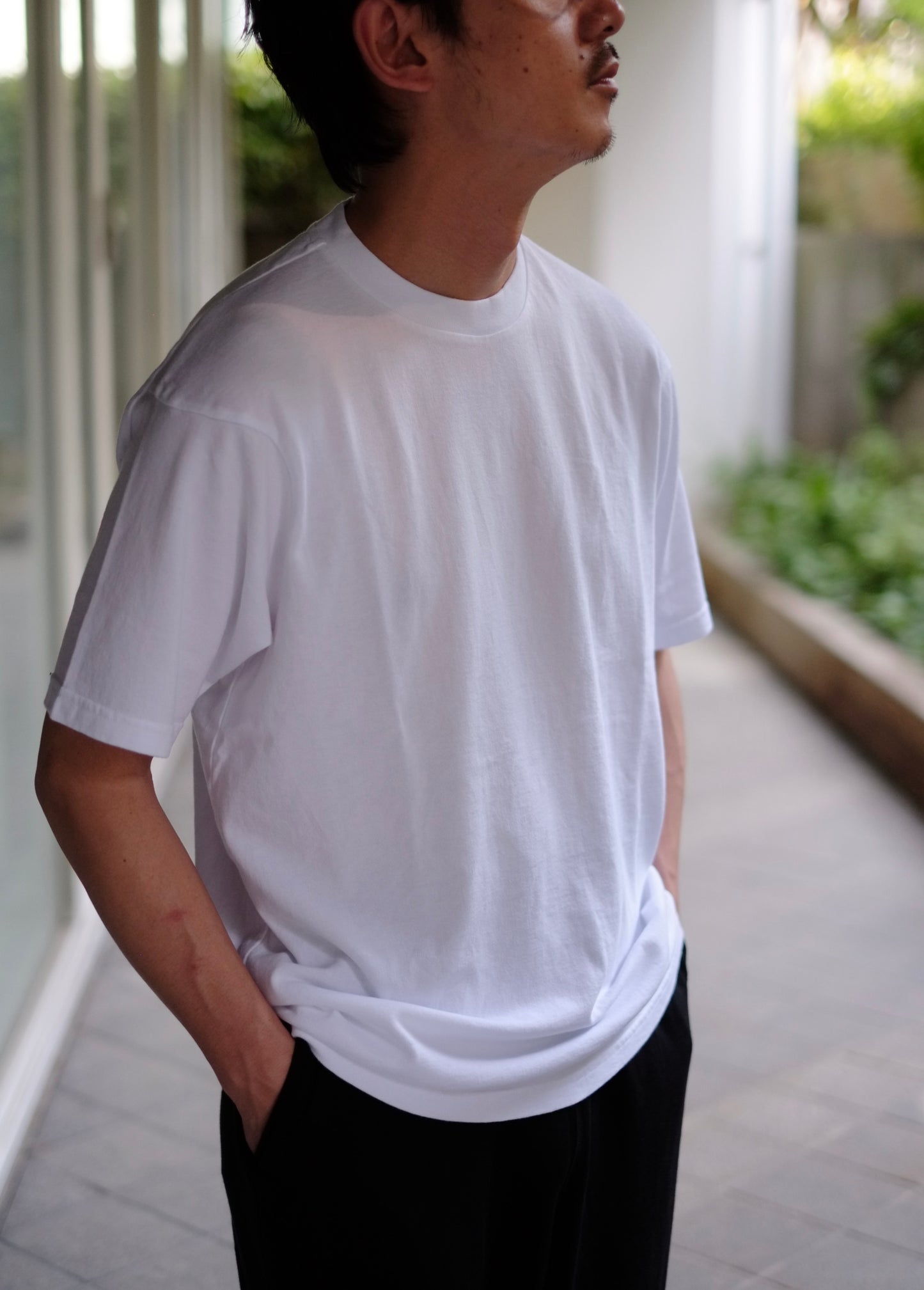 COLLECTION 002 WONDER ROOM - S/S dress shirt