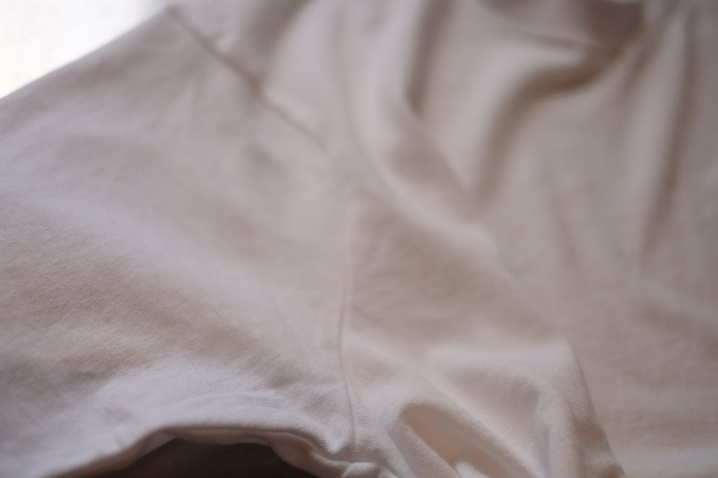 COLLECTION 002 WONDER ROOM - S/S dress shirt