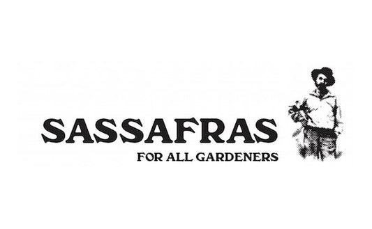 SASSAFRAS / ササフラス　