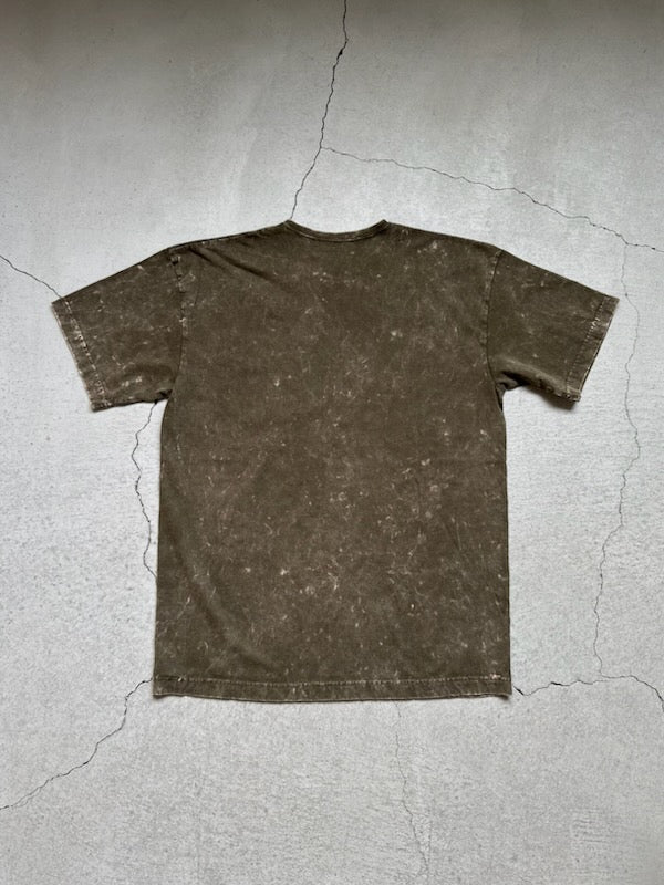 SASSAFRAS-Soil Galaxy CCP T1/2