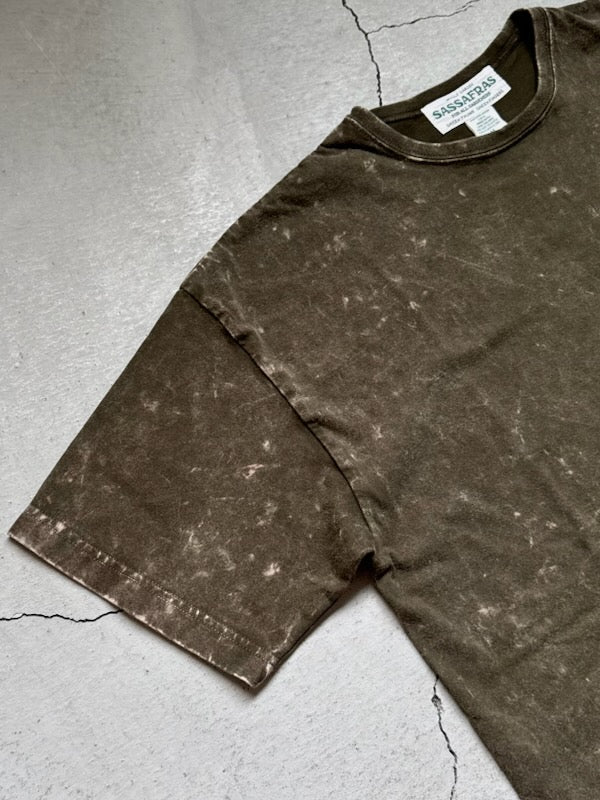 SASSAFRAS-Soil Galaxy CCP T1/2
