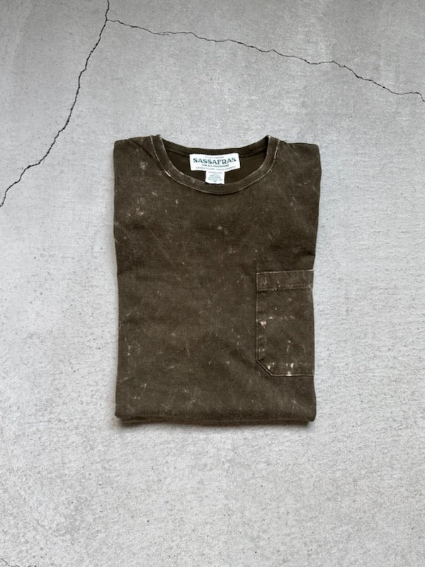 SASSAFRAS-Soil Galaxy CCP T1/2